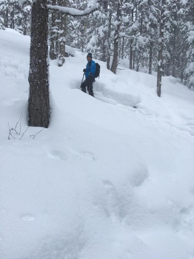 Ferienwohnung Zwoelferblick Bramberg am Wildkogel Εξωτερικό φωτογραφία