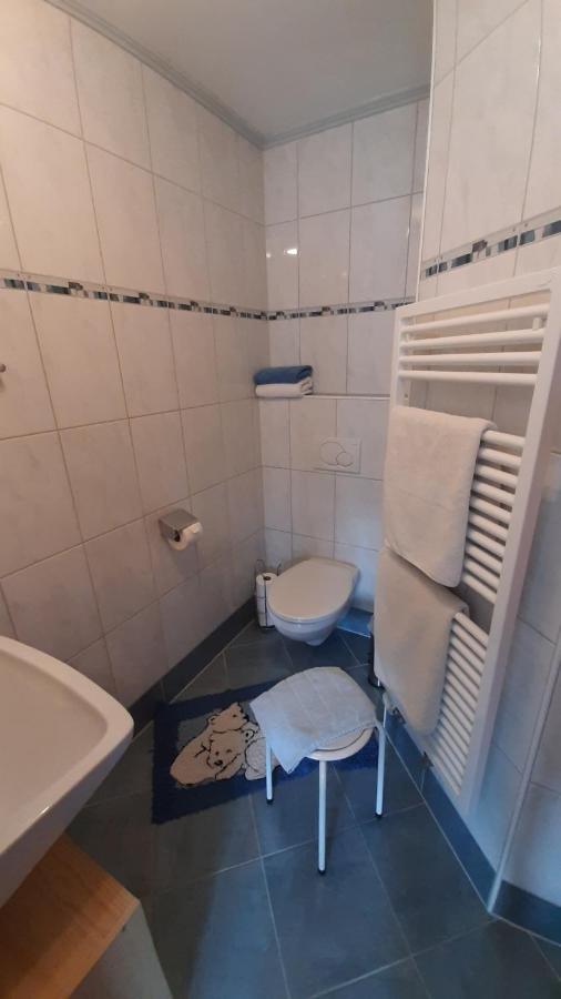 Ferienwohnung Zwoelferblick Bramberg am Wildkogel Εξωτερικό φωτογραφία